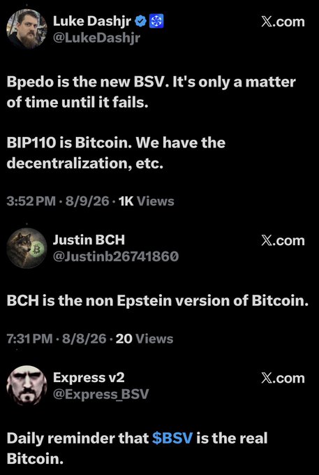 Screenshots of three tweets from Luke Dashjr (@LukeDashjir), Justin BCH (@Justinb26741860), and Express v2 (@Express_BSV) discussing Bitcoin-related topics, including claims that BCH is the 'non Epstein version of Bitcoin' and that BSV is the 'real Bitcoin'.