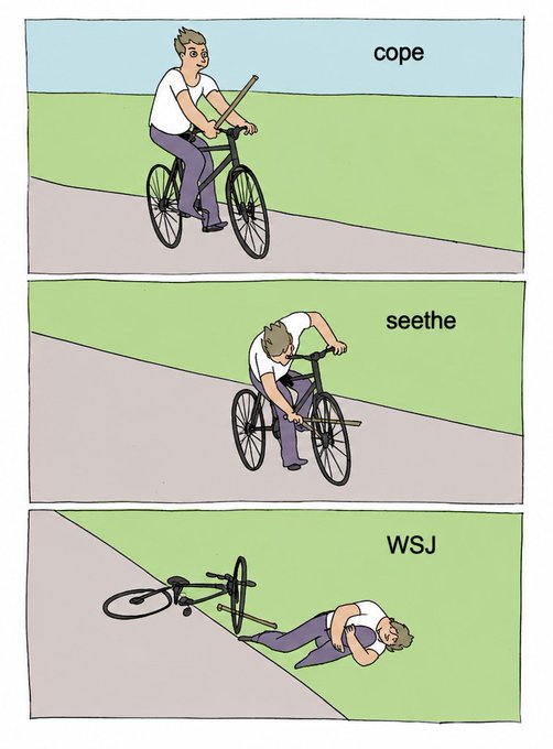 A three-panel comic strip illustrates a person trying to ride a bicycle with a stick labeled 'cope', then 'seethe', and finally lying defeated next to the bike with 'WSJ' above them.