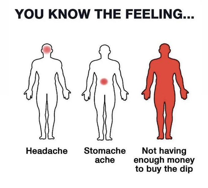 A meme comparing 'Headache' and 'Stomache ache' to 'Not having enough money to buy the dip', showing body diagrams with red spots indicating pain areas, including the entire body for the crypto joke.