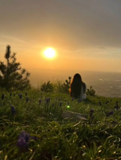 A scenic sunset view from a hilltop with a person sitting in the grass surrounded by purple flowers, gazing at the sun over the horizon.