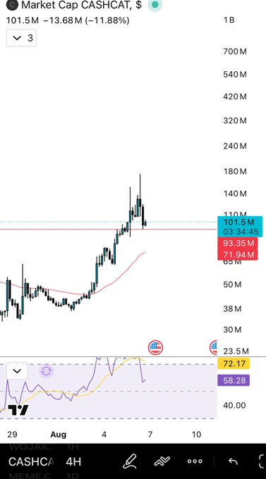 A cryptocurrency chart displays the market cap for CASHCAT at $101.5M, showing a -11.88% decrease with an RSI at 34.45 on TradingView.