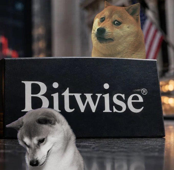 A meme image combining the 'Bitwise' company logo with two animal heads: a Shiba Inu (Doge) on top and a Husky on the bottom, set against a blurred background.