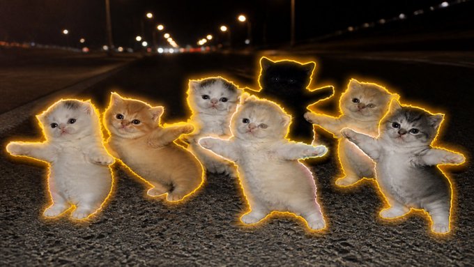 Seven cute kittens with glowing yellow outlines stand upright on their hind legs in dancing poses on an asphalt road at night.