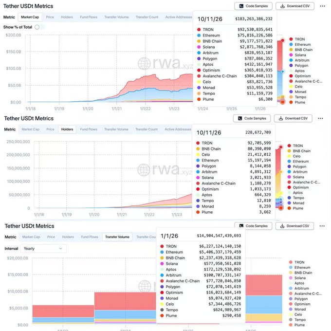 Three charts showing Tether USDT metrics including Market Cap, Holders, Transfer Volume, and Active Addresses across various blockchains like TRON, Ethereum, BNB Chain, and Solana, with data from rwa.xyz.