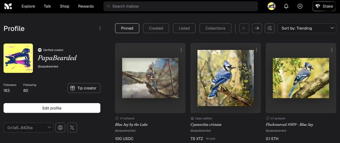 A profile page for creator "PapaBearded" (@papabearded) on Mallow displays artwork featuring blue jays, with pieces titled "Blue Jay by the Lake," "Cyanocitta cristata," and "Flocksourced #01 - Blue Jay" listed for sale in various cryptocurrencies including USDC, XTZ, and ETH.