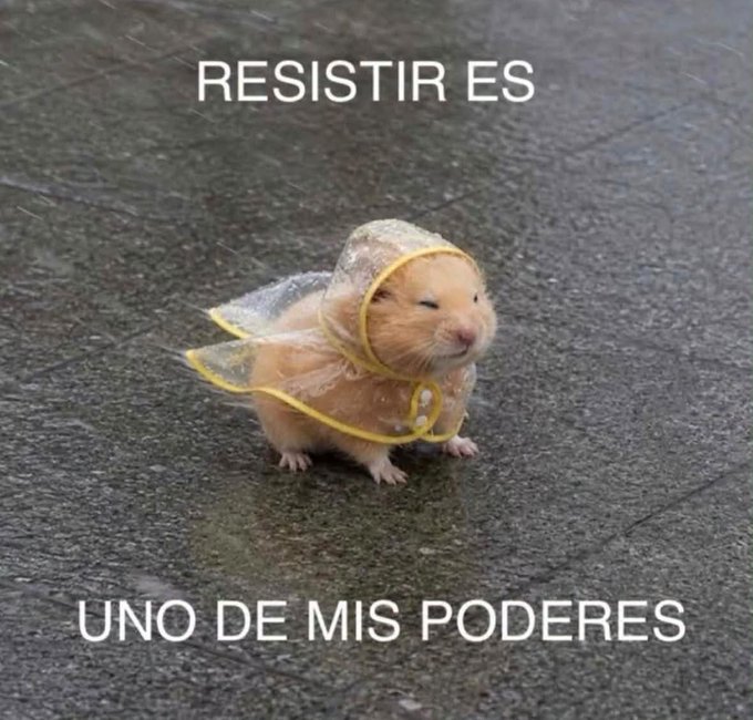 A small hamster wearing a clear plastic rain poncho on asphalt, with Spanish text reading 'RESISTIR ES' above and 'UNO DE MIS PODERES' below.