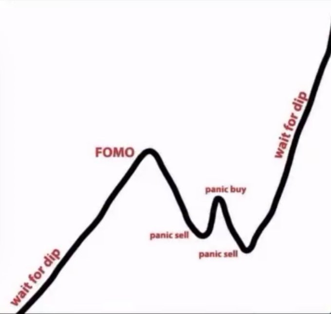 A meme-style stock market chart illustrating emotional trading cycles, with peaks and valleys labeled 'wait for dip,' 'FOMO,' 'panic buy,' and 'panic sell.'