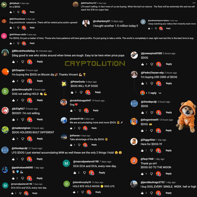 A post about Cryptolation that has a lot of likes with various messages such as "OMG I LOVE Bitcoin", "It's so cool", and several emojis including an orange dog, and other posts from Twitter about the post.
