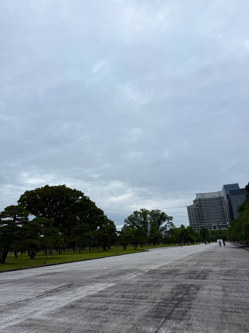 The image shows a large, empty city street with several people walking down it. The sky above them appears cloudy, suggesting an overcast day. In total, there are eight people visible in the scene, some of whom may be walking together while others might be individually strolling along the sidewalk. This urban setting provides a backdrop for the post that reads "皇居外苑を散歩中 めっちゃ走ってる人、練習してる人、たくさんいるのに、みんな スキップしてないと思うけどなぁ". The cloudy sky and the empty street create a sense of tranquility, despite the presence of people walking around.

The post is located in front of a large tree that adds some greenery to the scene. This image captures an interesting juxtaposition between the urban environment and the natural elements present within it.