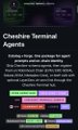A small embedded text image showing 'Cheshire Terminal Agents' with instructions for a messenger strategy, referencing 'Crypto Twitter' and '#XRPCommunity'.