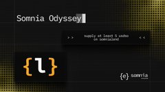 A dark graphic featuring the Somnia logo and curly braces with the text 'Somnia Odyssey' and 'supply at least 5 weeks on somnia testnet'.