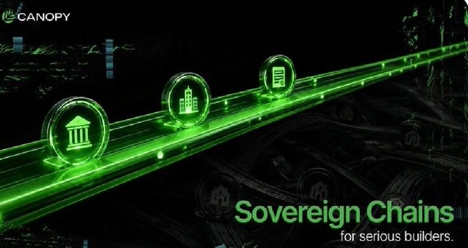 The image illustrates an apparent digital network, potentially associated with the Canopy venture, based on its use of geometric symbols and neon lights to represent data flow. It appears relevant to the quoted social media post's focus on the actual tech and real substance. The quote highlights Canopy's emphasis on infrastructure and testnet interaction, aligning with the visual depiction of data transmission.