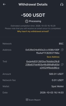 A dark-themed mobile screen shows withdrawal details for -500 USDT via BSC network, marked as 'Processing' with an estimated completion time, a network fee of 0.01 USDT, sent to a Spot Wallet.