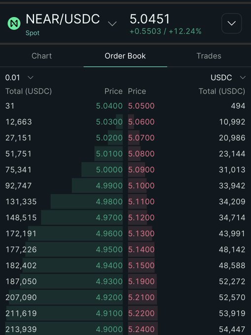 The image shows the NEAR/USDC spot order book on Hyperliquid, with NEAR trading at 5.0451 (+12.24%) and bids extending down to 4.9000 totaling 213,939 USDC, supporting the post's request for "more liquidity on HL" for NEAR Protocol.