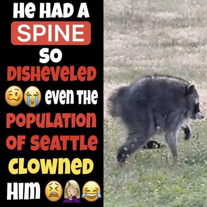 A bear with a visibly deformed, curved spine walks across grass, paired with the text "He had a spine so disheveled even the population of Seattle clowned him 😂😭🤦‍♀️😂," humorously linking the bearish imagery to the post's theme of "shorting coins, shorting spines."