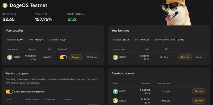 Dashboard screenshot of 'DogeOS Testnet' showing a net worth of $2.65, a 157.76% net APY, a health factor of 8.52, and supply/borrow details for DOGE assets.
