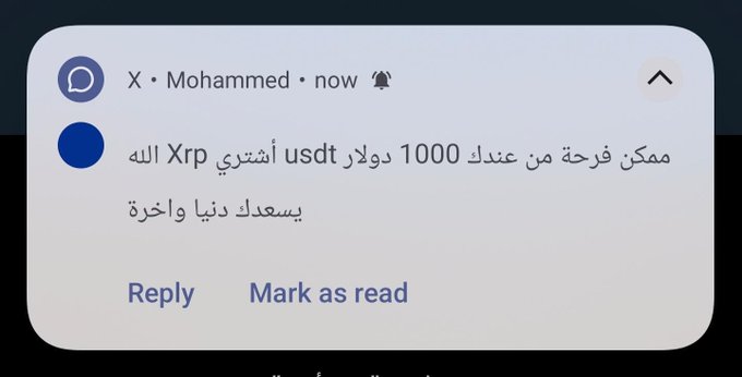 A screenshot shows a notification from "Mohammed" asking if they can buy Xrp with 1000 usdt, mirroring the user's frustration about losing money on digital currency.