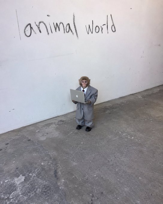 A monkey wearing an oversized gray business suit stands in a desolate concrete area holding an open Apple laptop, beneath graffiti that reads "animal world."
