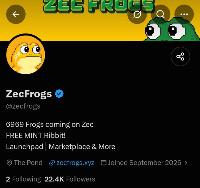 The image shows the verified Twitter profile of ZecFrogs (@zecfrogs), featuring a pixelated frog avatar and banner, with 22.4K followers, promoting "6969 Frogs coming on Zec" with a "FREE MINT Ribbit!" and tagging "The Pond" location. The post's caution about NFT projects on the Zec ecosystem aligns with ZecFrogs being one of the NFT collections mentioned, highlighting the importance of vetting new projects like this one before participating in mints.