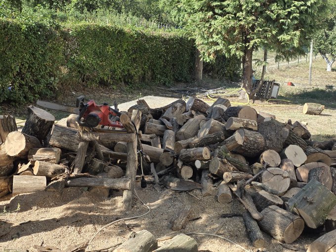A large pile of cut logs and firewood sits in a yard next to a red log splitter, surrounded by trees and a hedge.
