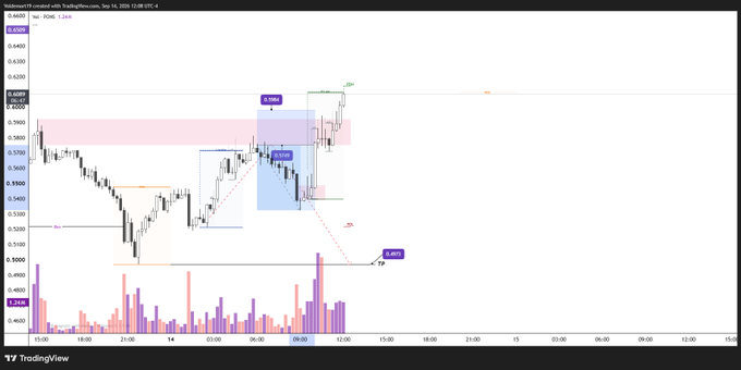 A TradingView chart of the cryptocurrency Polkadot (DOT) on a 1-day timeframe, displaying candlestick price action, volume bars, and various technical analysis zones with blue and red price levels.
