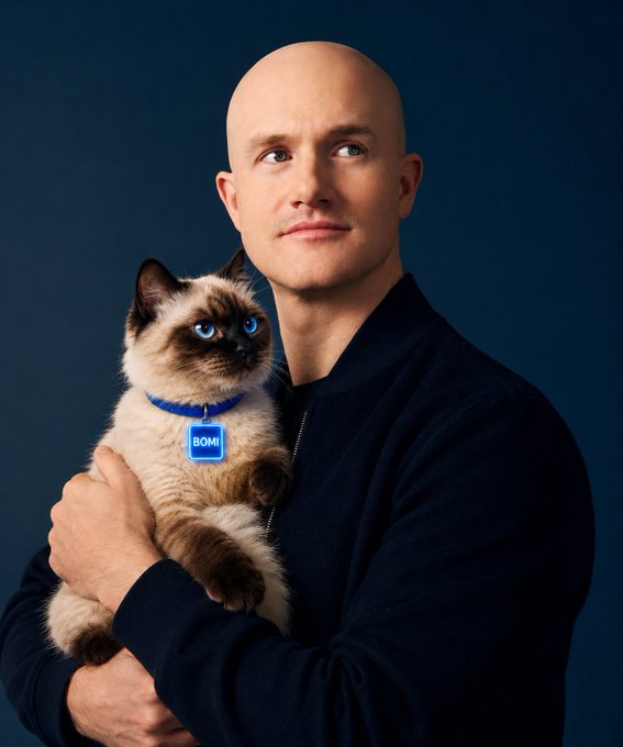 A bald man holds a Siamese-like cat wearing a blue collar with a tag labeled "BOMB!" against a dark blue background.