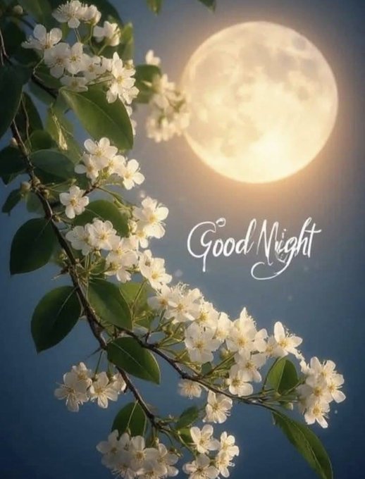 A decorative 'Good Night' greeting image featuring white blossoms on branches against a dark sky with a large full moon.