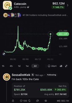 The image shows a trading chart for the meme coin Catecoin ($CATE), displaying its price spike to $62.12M with an overall gain of +146.7%, alongside a post from trader SossaDotTek boasting a 202.8% net profit on a $781.25K position with an average entry of $17.1M—illustrating the trader's large unrealized gains from holding $CATE through its recent surge.