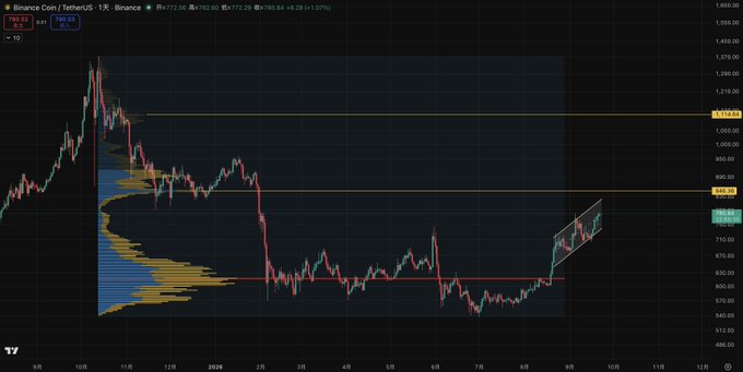A TradingView chart of Binance Coin/USDT (BNBUSDT) shows a 1X timeframe with a price of 792.98, displaying a recent uptrend within a rising channel pattern, with historical resistance levels marked at approximately 906.09 and 1,035.13, illustrating BNB's position as a major platform token leading a bull market rally.