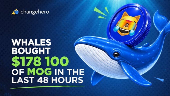 A promotional graphic from 'changehero' announcing 'WHALES BOUGHT $178,100 OF MOG IN THE LAST 48 HOURS,' featuring a blue whale holding a Shiba Inu coin with a winking meme character.