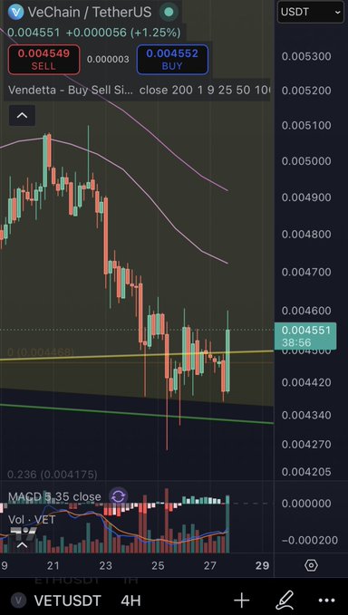 A TradingView 4H chart of VET/USDT (VeChain) shows the price testing the 0.236 Fibonacci level at 0.004175 after a sharp selloff, with a current price of 0.004551 and a +1.25% bounce — suggesting a potential bottom forming as highlighted by the post's "Bottom in?!" caption.