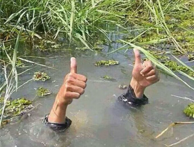 A pair of hands gives thumbs-up while sinking into murky, algae-filled swamp water. The image humorously illustrates the post's joke, suggesting that despite being asked about crypto riches, the person is actually drowning in the swamp of their investments.