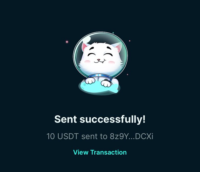 A cute cartoon white cat in a space helmet illustration confirms a successful transaction, displaying "Sent successfully! 10 USDT sent to 8z9Y...DCXi" with a "View Transaction" link. The post suggests the sender sent over $40 total and is checking if their recipient's address matches the one shown here.