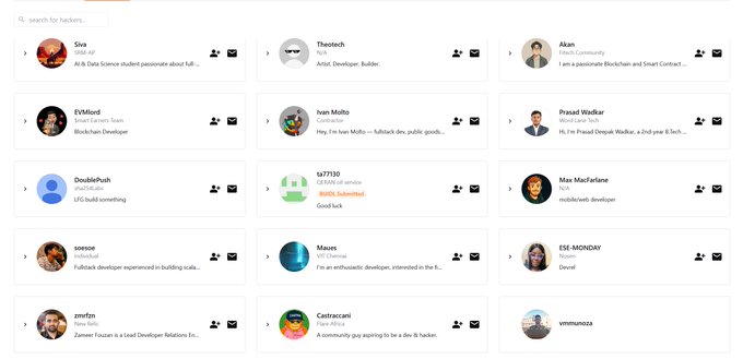 A user directory page listing hackers with usernames like 'Theotech', 'Akari', 'EVMlord', 'Ivan Multo', and 'Doublefyah', displaying their roles such as Blockchain Developer and Lead Community.