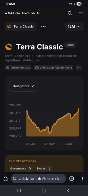 A mobile screenshot from validator.info showing the Terra Classic (LUNC) blockchain page with a delegators count chart and governance/blocks links.