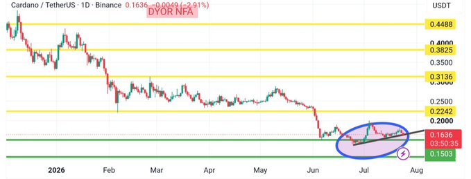 This image shows a daily candlestick chart of Cardano/TetherUS (ADA/USDT) on Binance from approximately January 2026 through early August 2026, with the current price at $0.1636 (down 2.91%), displaying key horizontal support/resistance levels at $0.1503, $0.1636, $0.2000, $0.2242, $0.3136, $0.3825, $0.4000, and $0.4488. A blue ellipse highlights a bullish ascending trendline pattern in the July-August area, visually reinforcing the post's claim that ADA has been building higher lows and respecting rising trendline support since the June sell-off, with buyers successfully defending the $0.1503 demand zone.