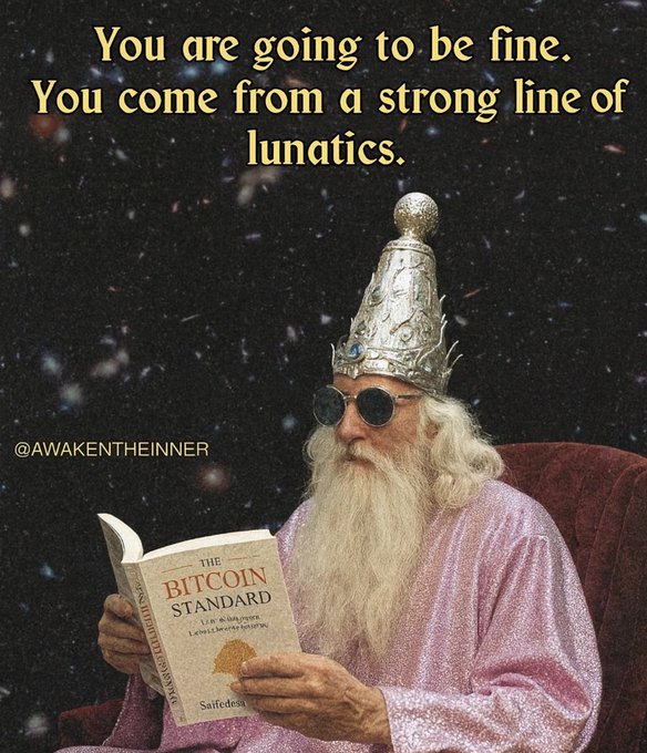 A meme image of a wizard with a long white beard, sunglasses, and a pink robe reading 'THE BITCOIN STANDARD' against a space background, with the caption 'You are going to be fine. You come from a strong line of lunatics.' and watermark '@AWAKENTHEINNER'.