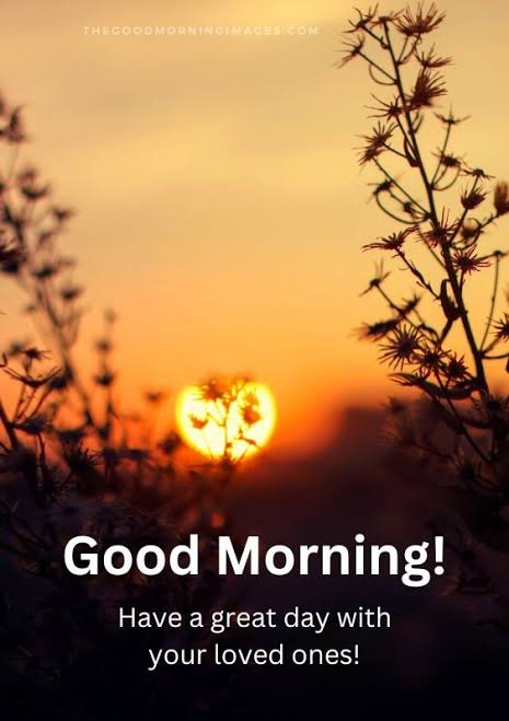 A warm sunrise glows behind silhouetted wildflowers, with the text "Good Morning! Have a great day with your loved ones!" overlaid at the bottom. The image pairs perfectly with the motivational message, symbolizing a fresh start and new opportunities for growth and consistency.