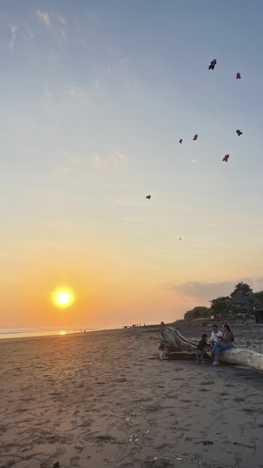 The image shows a group of people sitting on a log at the beach, enjoying their time together during sunset. The sky above them is filled with kites flying high, adding to the overall atmosphere of relaxation and leisure. The photo captures the essence of a perfect weekend day spent outdoors with friends or family, appreciating nature's beauty while engaging in fun activities like flying kites.