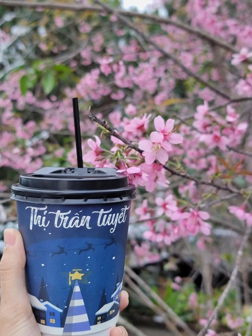 A hand holds a blue holiday-themed cup with Vietnamese text 'Thị trấn tuyết' (Snow Town) featuring Santa's sleigh and houses, set against a backdrop of pink cherry blossoms.