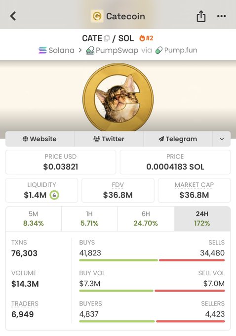 The image shows a CATEcoin (CATE/SOL) trading page on the Solana blockchain via Pumpswap/Pump.fun, displaying a price of $0.03821 with a 172% surge in 24H, $14.3M volume, and 76,303 transactions. The image relates to the post by showing CATEcoin's dramatic 172% price pump, which the poster jokingly asks to slow down so they can accumulate more tokens before payday.
