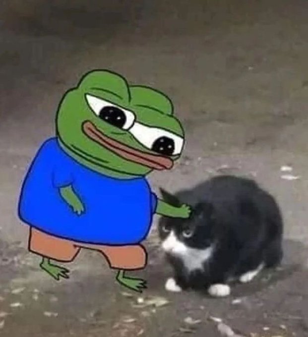 A meme featuring a cartoon Pepe the Frog character in a blue shirt touching a black and white cat outdoors.