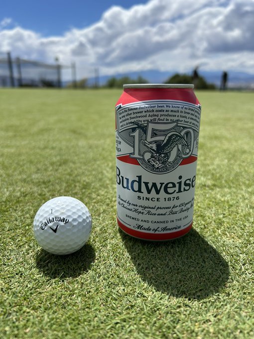 A golf ball sits on the grass next to a can of Budweiser beer on a sunny golf course, perfectly capturing a relaxing day on the green.