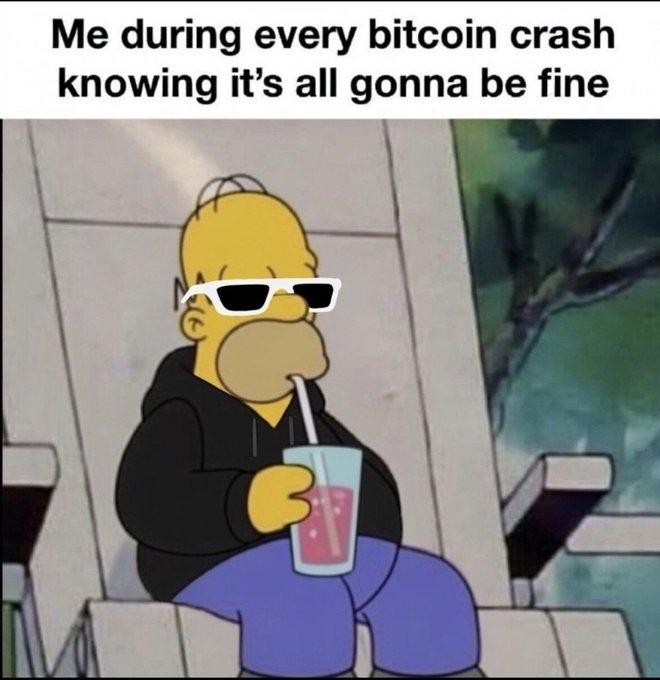 A meme with text 'Me during every bitcoin crash knowing it's all gonna be fine' showing Homer Simpson in sunglasses drinking from a cup.