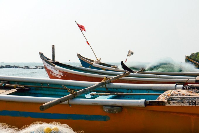 Several colorful wooden fishing boats are clustered together on the shore, with one boat displaying the text "SRI LANKA" and a red flag waving from a tall pole, while ocean waves crash in the background.