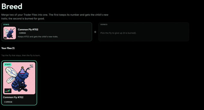 A screenshot of a digital trading card game interface titled 'Breed', showing instructions to merge two Trader Flies to keep one's number and acquire new traits while burning the other; a 'Common Fly #702' is currently held in the 'Stays' slot.