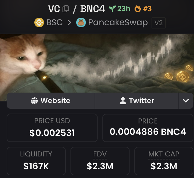 The image shows a memecoin dashboard for VC/BNC4 on PancakeSwap (BSC, V2), featuring a humorous cat vaping meme with candle smoke, priced at $0.002531 USD with a $2.3M market cap and $167K liquidity. The caption aligns with the post's reference to "The cat that vapes" lore and the $2.3M market cap entry point mentioned.