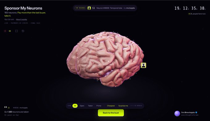 A digital interface titled 'Sponsor My Neurons' displays a 3D brain model labeled 'Neuron #4306 - Temporal lobe,' with text '200 neurons are taken. Play more than the last buyer, take it.' and a 'Back to the build' button.