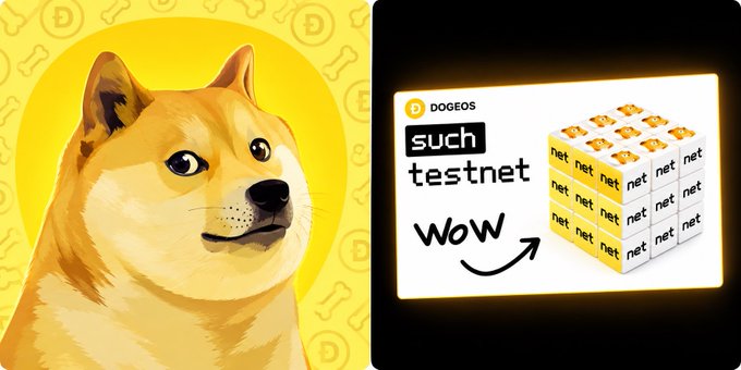 An illustration of a Shiba Inu dog on a yellow background next to a Dogecoin graphic labeled 'such testnet wow' showing blocks labeled 'net'.