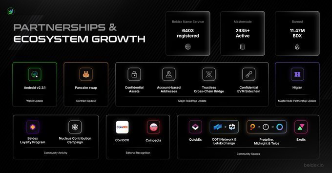 A Beldex dashboard titled 'PARTNERSHIPS & ECOSYSTEM GROWTH' highlighting 'Beldax Name Service 6403 registered', 'Masternode 2935+ Active', and 'Burned 11.47M BDX', with logos for partners like Android v2.3.1, Pancake swap, CoinDCX, Coinpedia, QuickEx, and Exolix.